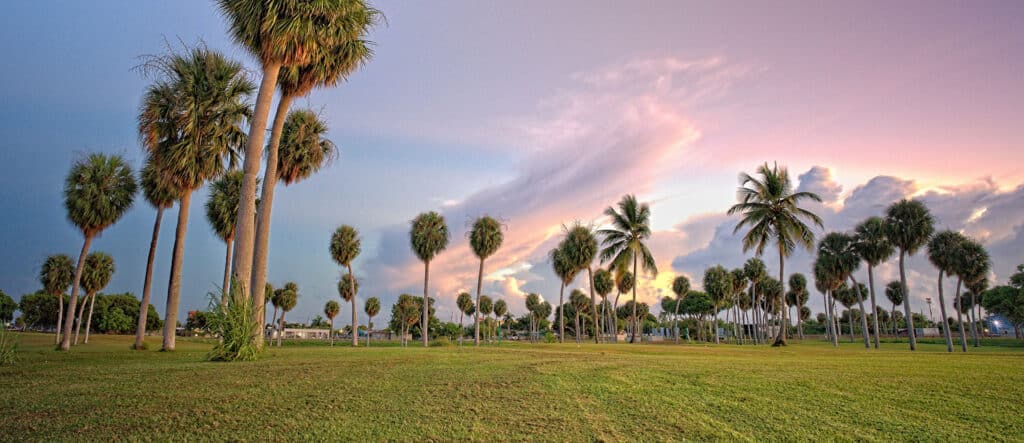 Ivette Atlantic - Atlantic Properties - High Profile Realtor - Puerto Rico